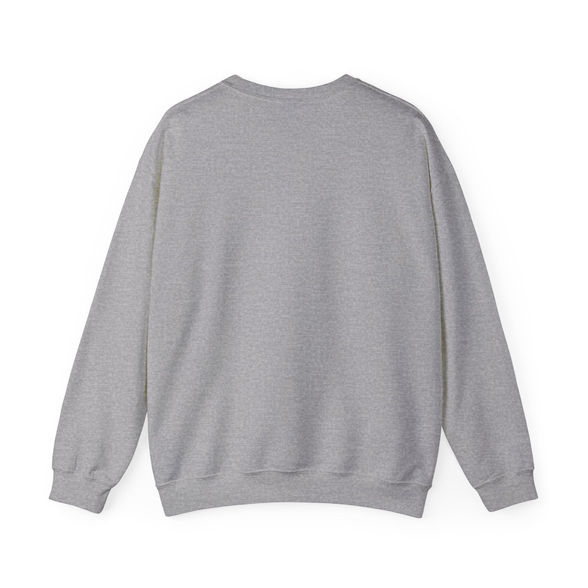 Sarcasm University Crewneck Sweatshirt – Funny College Humor Pullover